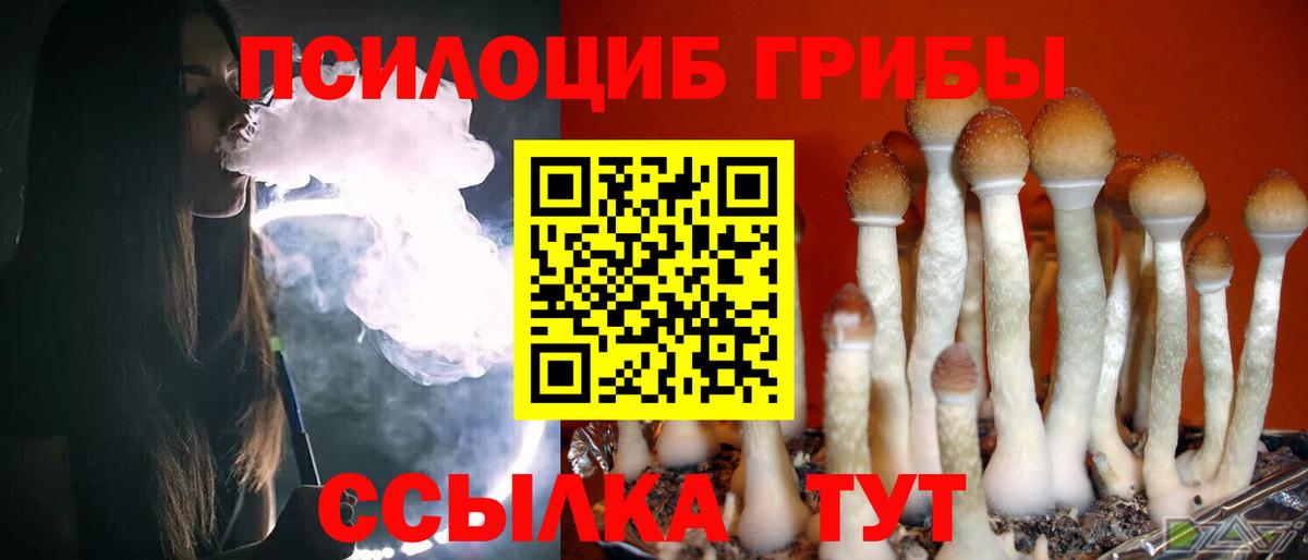Кыштым  Псилоцибиновые грибы GOLDEN TEACHER  Псилоцибиновые грибы прущие грибы  Вход с VPN 